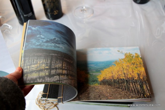 luce, luce, luce della vite,luce 20, luce ventesima vendemmia, frescobaldi, marchesi frescobaldi, mondavi e frescobaldi, montalcino, sangiovese merlot, wine, red wine, red tusan wine, tusan wine, vino toscano, sangiovese merlot blend