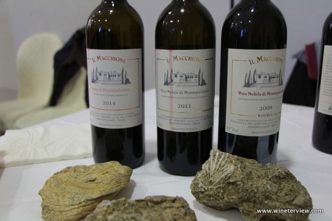 nobile di montepulciano, vino nobile di montepulciano, montepulciano, anteprime toscane, anteprima, anteprima vino nobile montepulciano, anteprima vino nobile montepulciano 2016, vino rosso, vino rosso toscano, sangiovese, montepulciano, montepulciano vino, toscana, tuscany, tuscan anteprimas, wine tasting, tuscan wine, антеприма, антеприма монтепульчано, тасканские антепримы, нобиле ди монтепульчано, тосканское вино, санджовезе, podere il macchione, il macchione, 100% sangiovese,