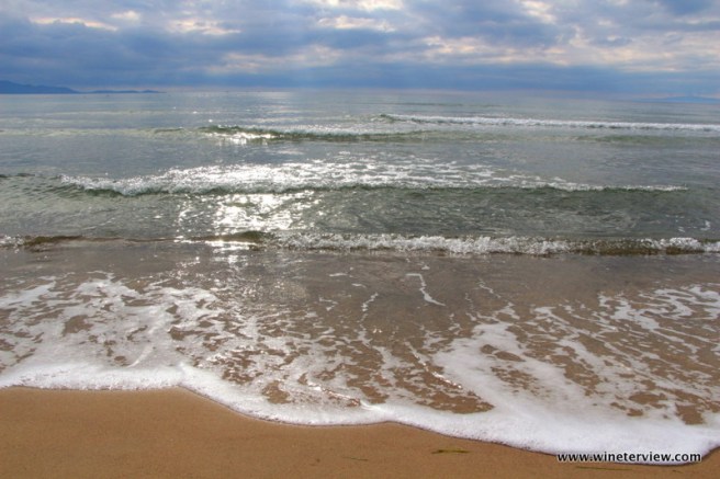 mare, follonica mare, follonica spiaggia, beach follonica, tuscan beach, primavera toscana, thyrrenian sea, тирренское море, фоллоника, пляж тоскана, маремма