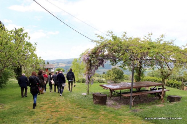 primavera in tuscana, spring tuscany, castiglione d'orcio, san quirico d'orcia, orcia wine festival, val d'orcia, val d'orcia vino, orcia doc, poggio grande, azienda agricola poggio grande, luca zamperini, panorama toscana, paesaggio toscano, toscana, tuscany, toscana belvedere, bellavista toscana, panorama tuscany, viewpoint tuscany , cavallo bianco, white horse, campagna, campagna toscana, countryside, countryside tuscany, countryliving, countryliving tuscany, degustazione, degustazione poggio grande, vino toscano, tuscan wine, wine tasting, orcia sangiovese, sesterzo,