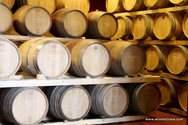 primavera in tuscana, spring tuscany, castiglione d'orcio, san quirico d'orcia, orcia wine festival, val d'orcia, val d'orcia vino, orcia doc, poggio grande, azienda agricola poggio grande, luca zamperini, panorama toscana, paesaggio toscano, toscana, tuscany, toscana belvedere, bellavista toscana, panorama tuscany, viewpoint tuscany , cavallo bianco, white horse, campagna, campagna toscana, countryside, countryside tuscany, countryliving, countryliving tuscany, degustazione, degustazione poggio grande, vino toscano, tuscan wine, wine tasting, orcia sangiovese, sesterzo, vigneto, vine, future wine, spring, cantina, cellar, winery, rovere francese, botti, barrique,